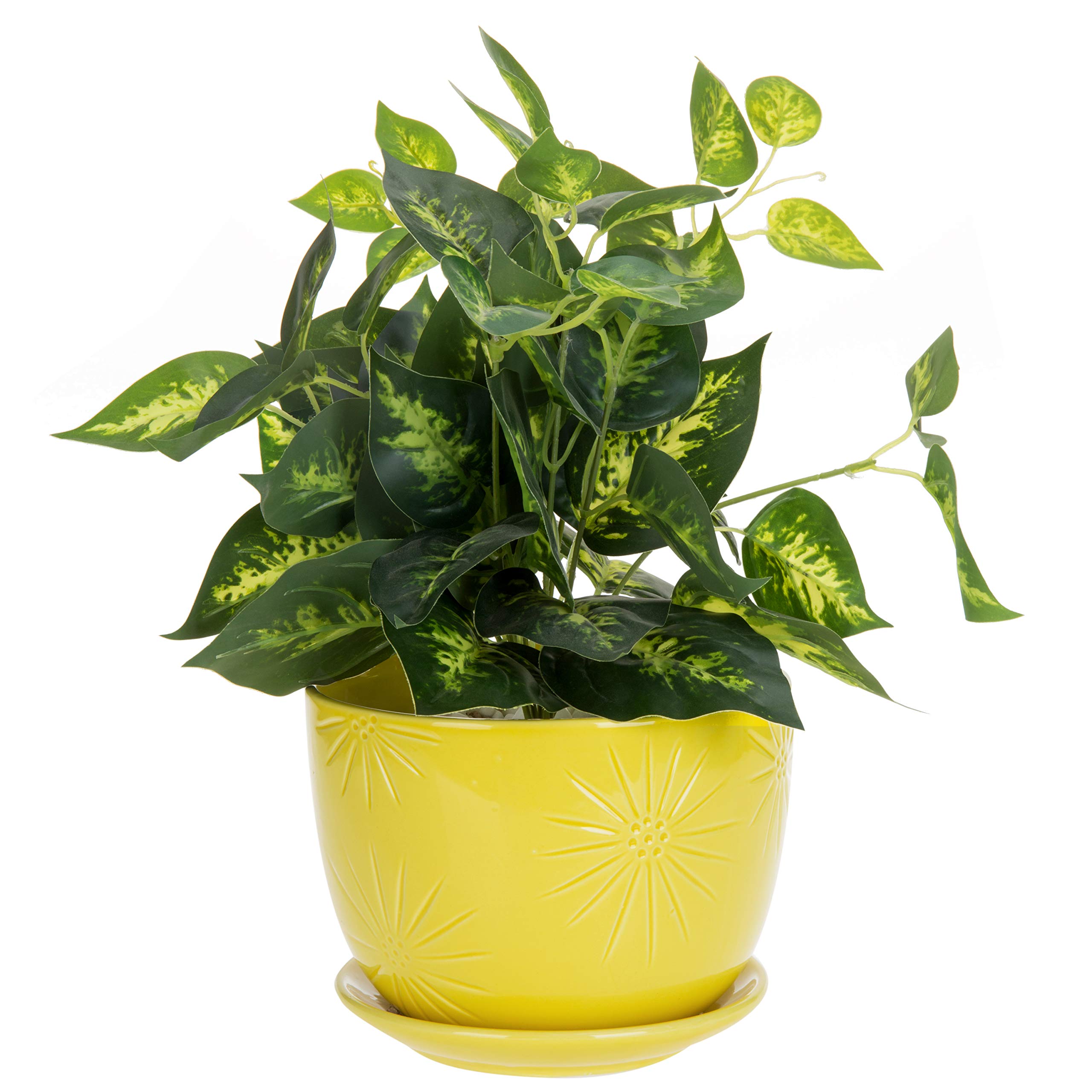 Amazon.com: MyGift 7 Inch Round Yellow Ceramic Plant Pot with